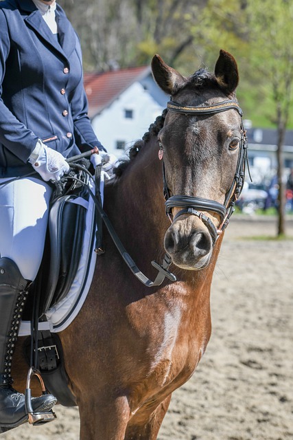 改进的信号 改进的信号