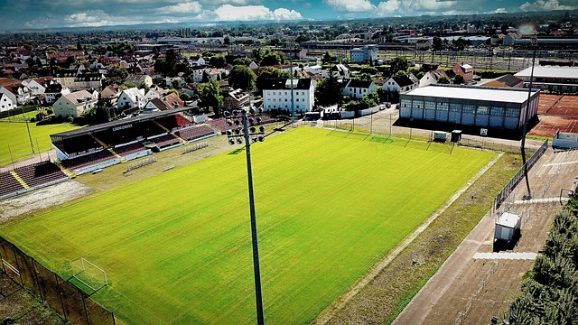 上也交出了 上也交出了