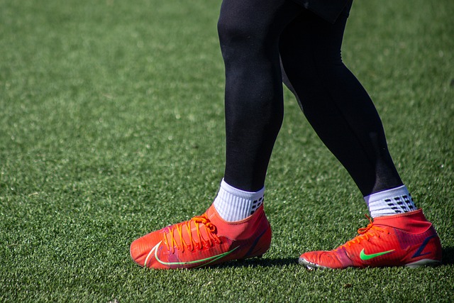 球迷们无疑 球迷们无疑