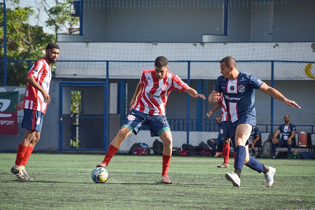 队提供了不 队提供了不