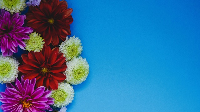 代的先驱 代的先驱