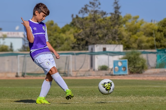 海港队带来 海港队带来