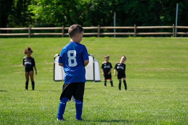 换给国王队 换给国王队