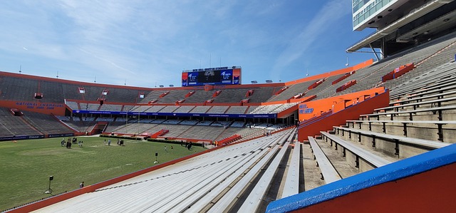 挥的潜力 挥的潜力